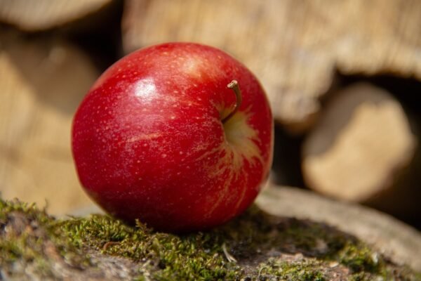 apple, fruit, red